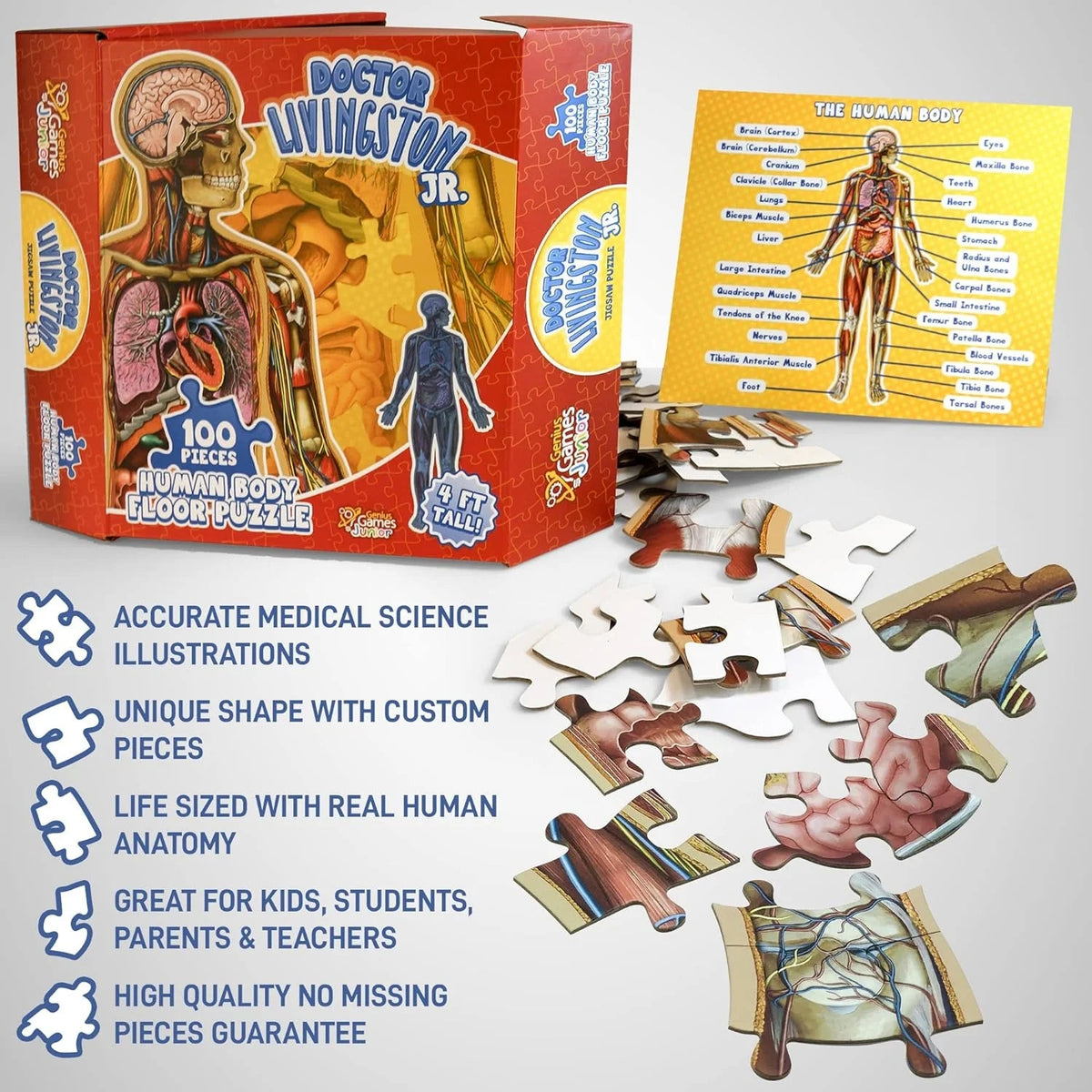 Kids 100-Piece Human Body Floor Puzzle – 4ft Anatomy Learning Puzzle