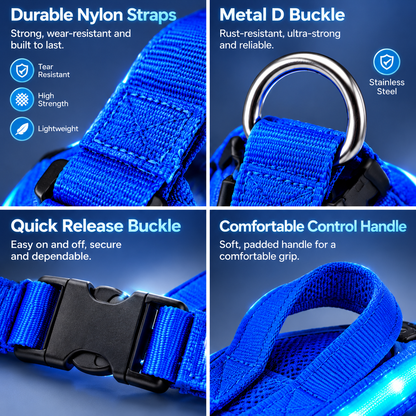 LumaWalk LED Night Full Walk Kit