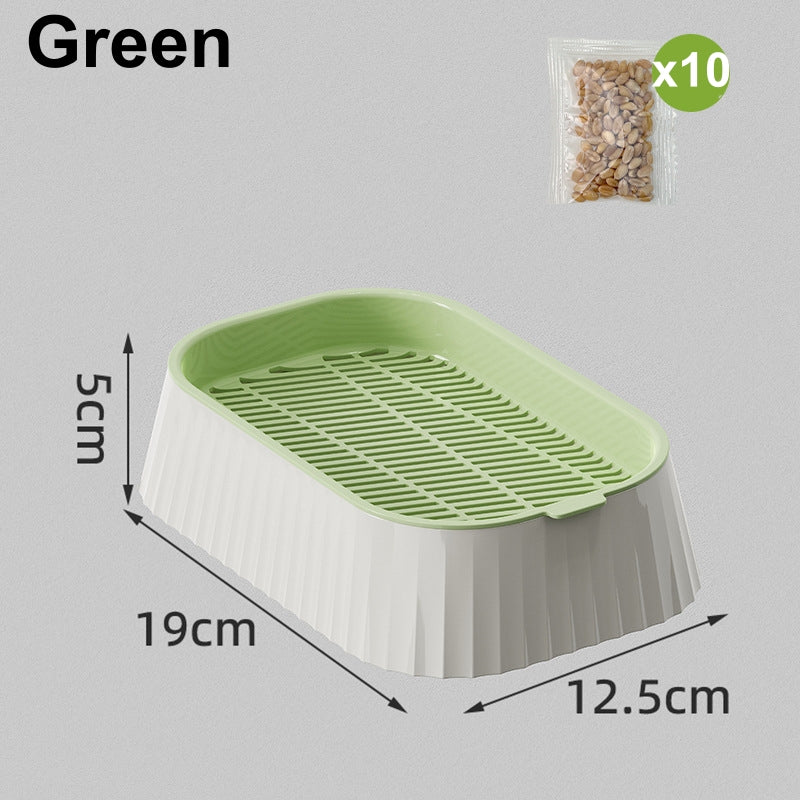 Organic Cat Grass Kit Indoor Wheat Grass with Hydroponic Planter