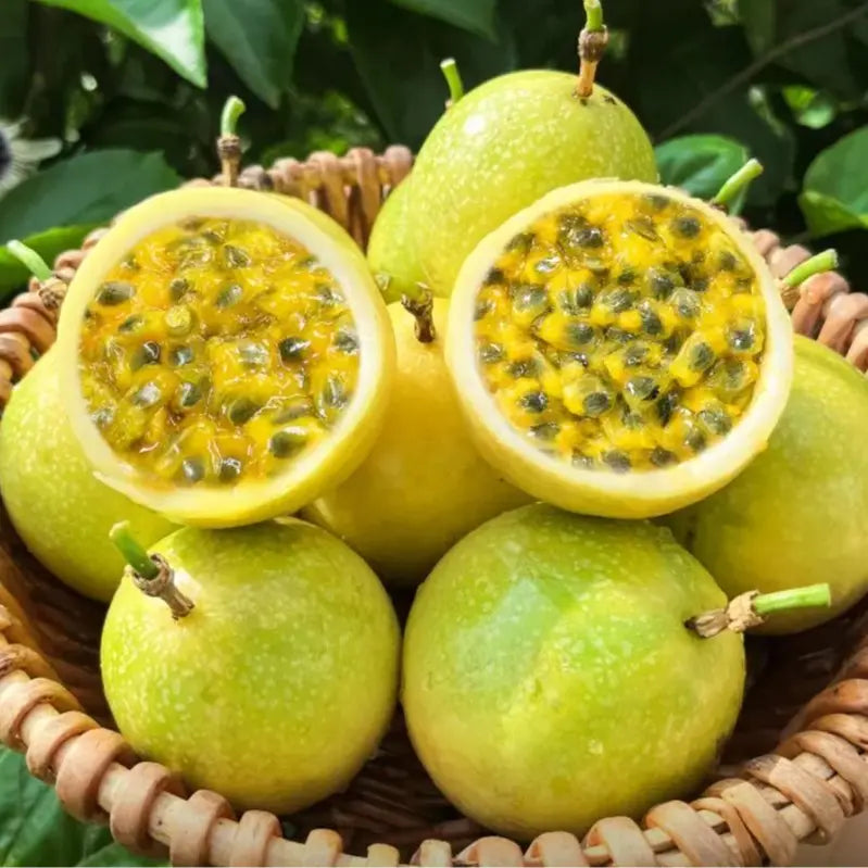 Exotic Passion Fruit Growing Kit