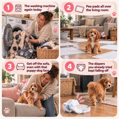 Reusable Waterproof Dog Diapers | Comfortable Fit for Everyday Protection