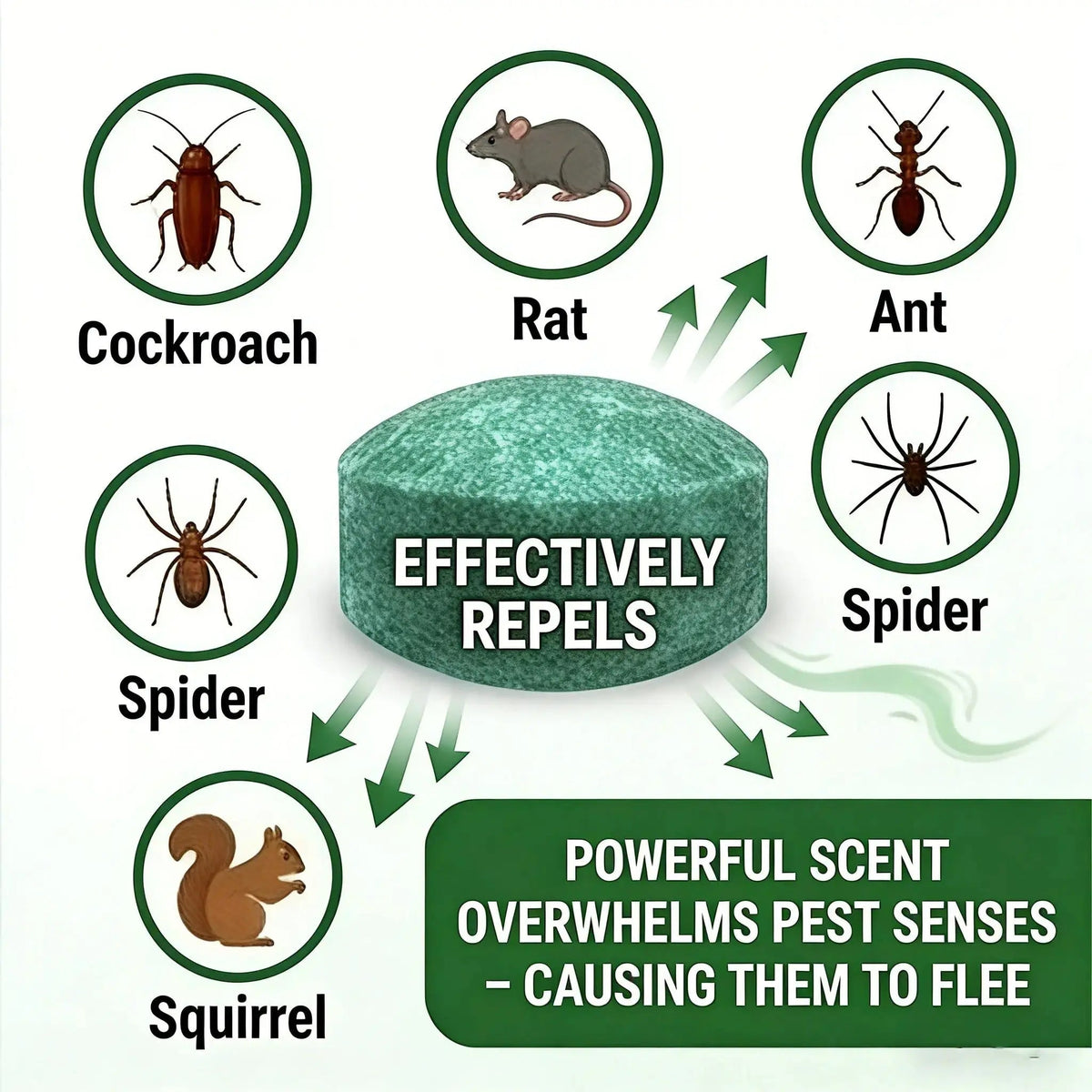 Natural Peppermint Rodent Repellent Balls – 12 Pack Indoor & Outdoor Pest Control