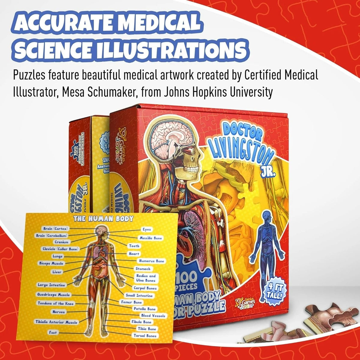 Kids 100-Piece Human Body Floor Puzzle – 4ft Anatomy Learning Puzzle