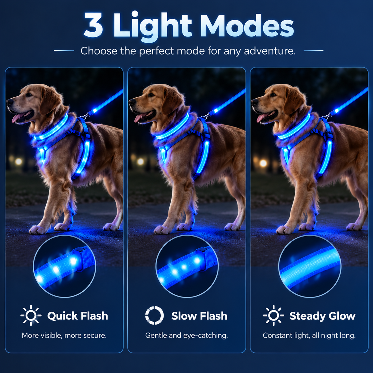 LumaWalk LED Night Full Walk Kit