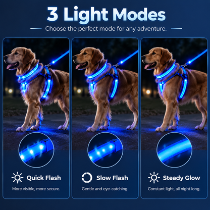LumaWalk LED Night Full Walk Kit