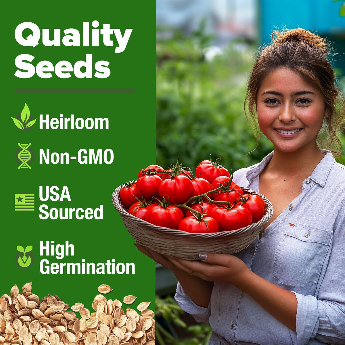Beefsteak Tomato Grow Pack – 300 Heirloom Tomatoes for Your Garden