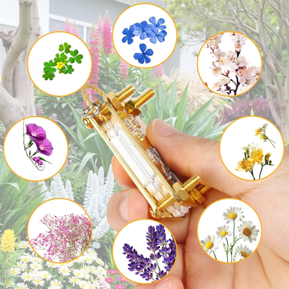 Mini Flower Press Kit for Flowers, Leaves & DIY Crafts