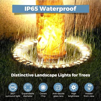 24V Low Voltage 3000K Warm White LED Outdoor Aluminum Outdoor Ring Tree Lights