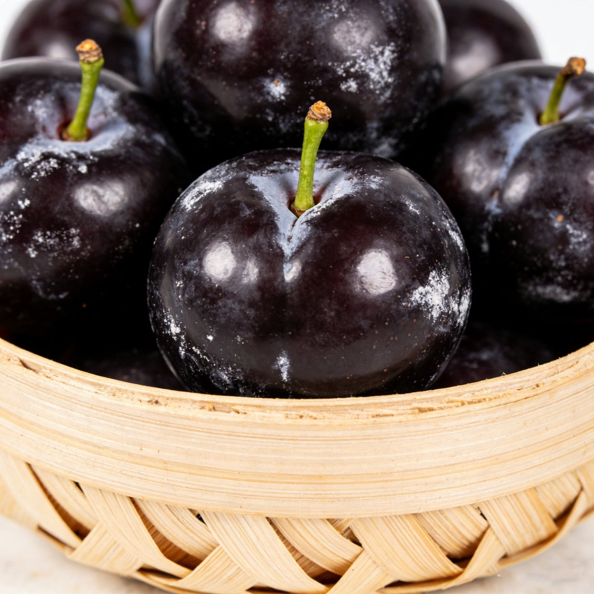 Plum Growing Kit – Sweet Fruit Tree for Home Garden