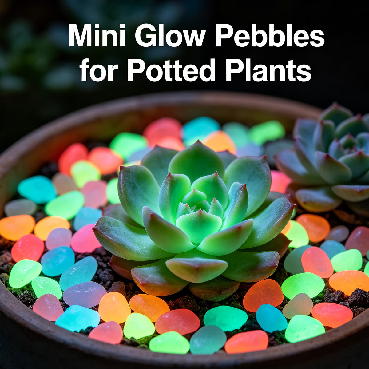 Mixed Color Luminous Garden Stones