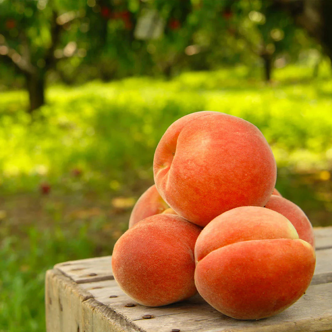 Ultra-Sweet Juicy Peach Tree Planting Kit