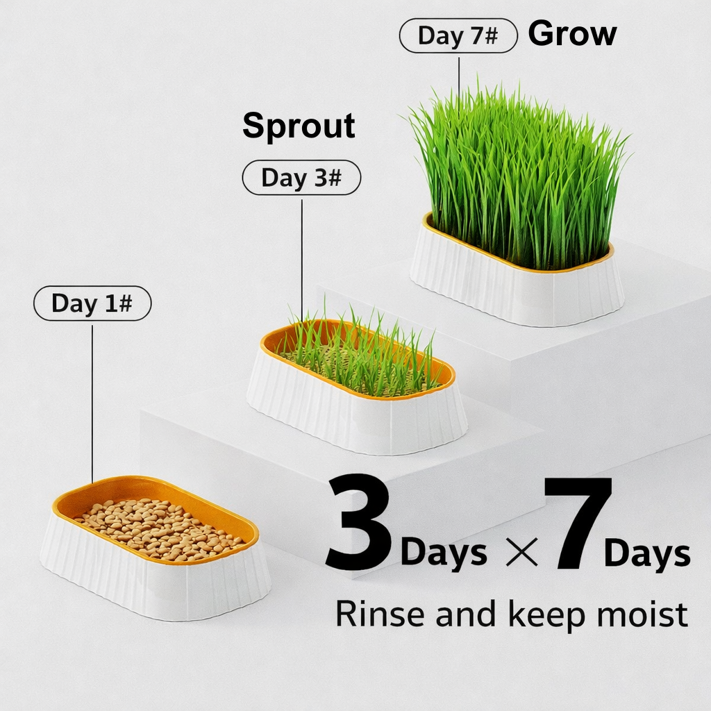 Organic Cat Grass Kit Indoor Wheat Grass with Hydroponic Planter