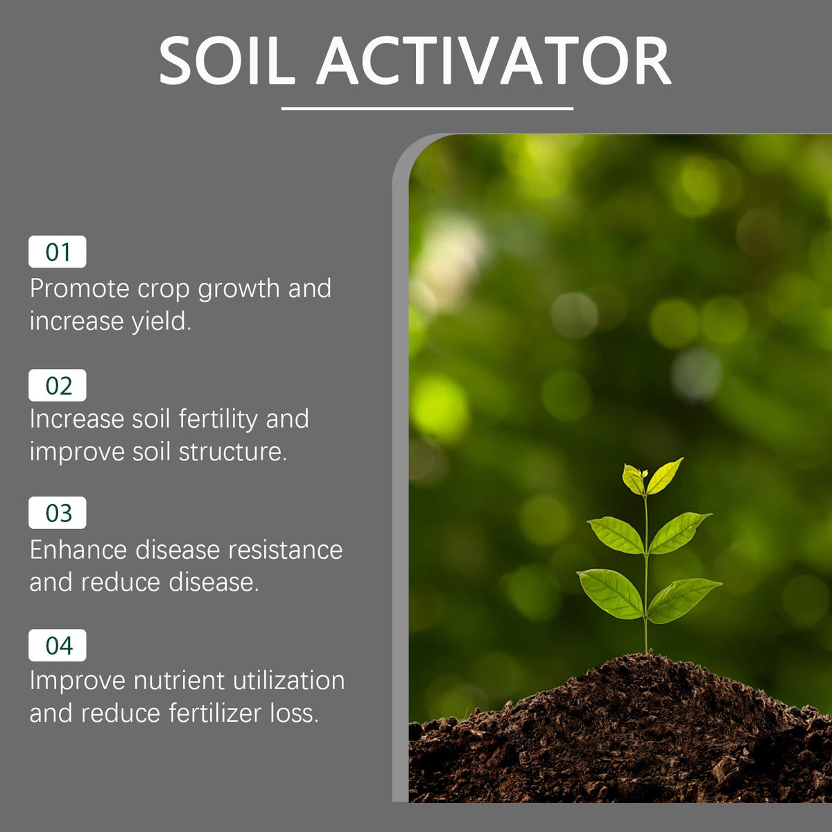 Soil Pro Activator – Organic Bone Meal Fertilizer for Plants