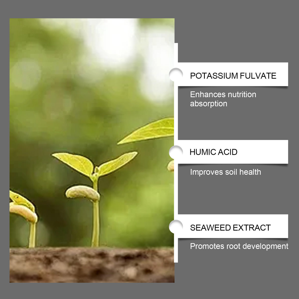 Soil Pro Activator – Organic Bone Meal Fertilizer for Plants