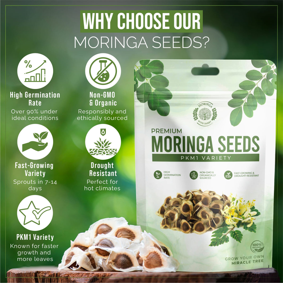 Fast-Growing Superfood Moringa for Planting