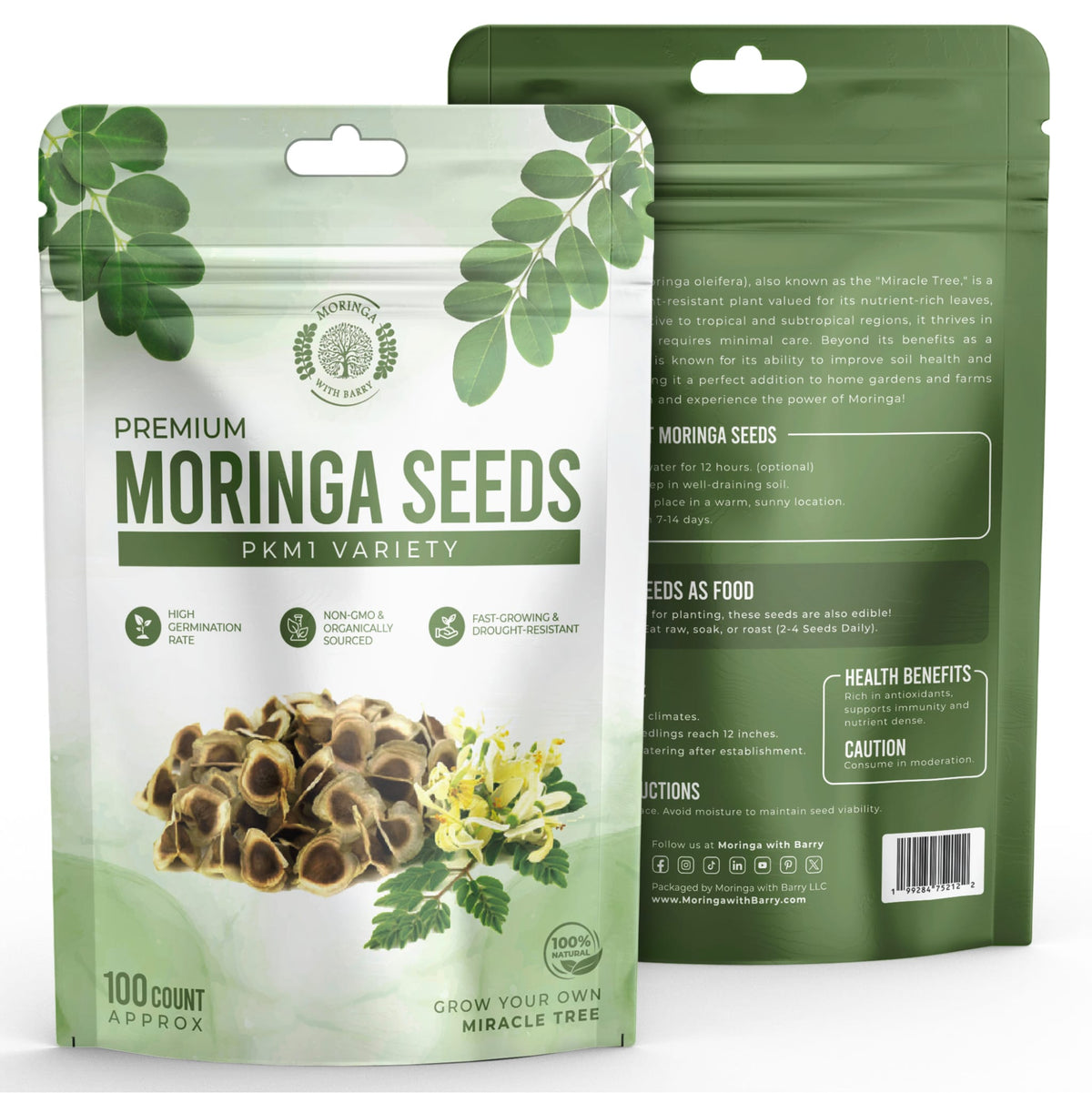 Fast-Growing Superfood Moringa for Planting