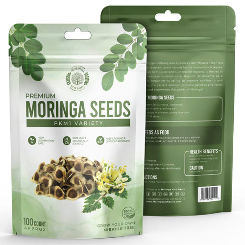 Fast-Growing Superfood Moringa for Planting