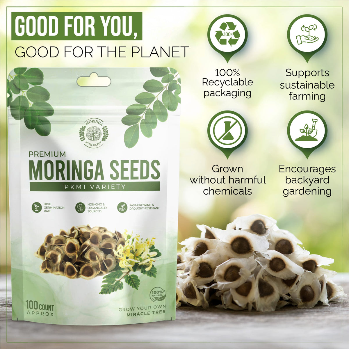 Fast-Growing Superfood Moringa for Planting