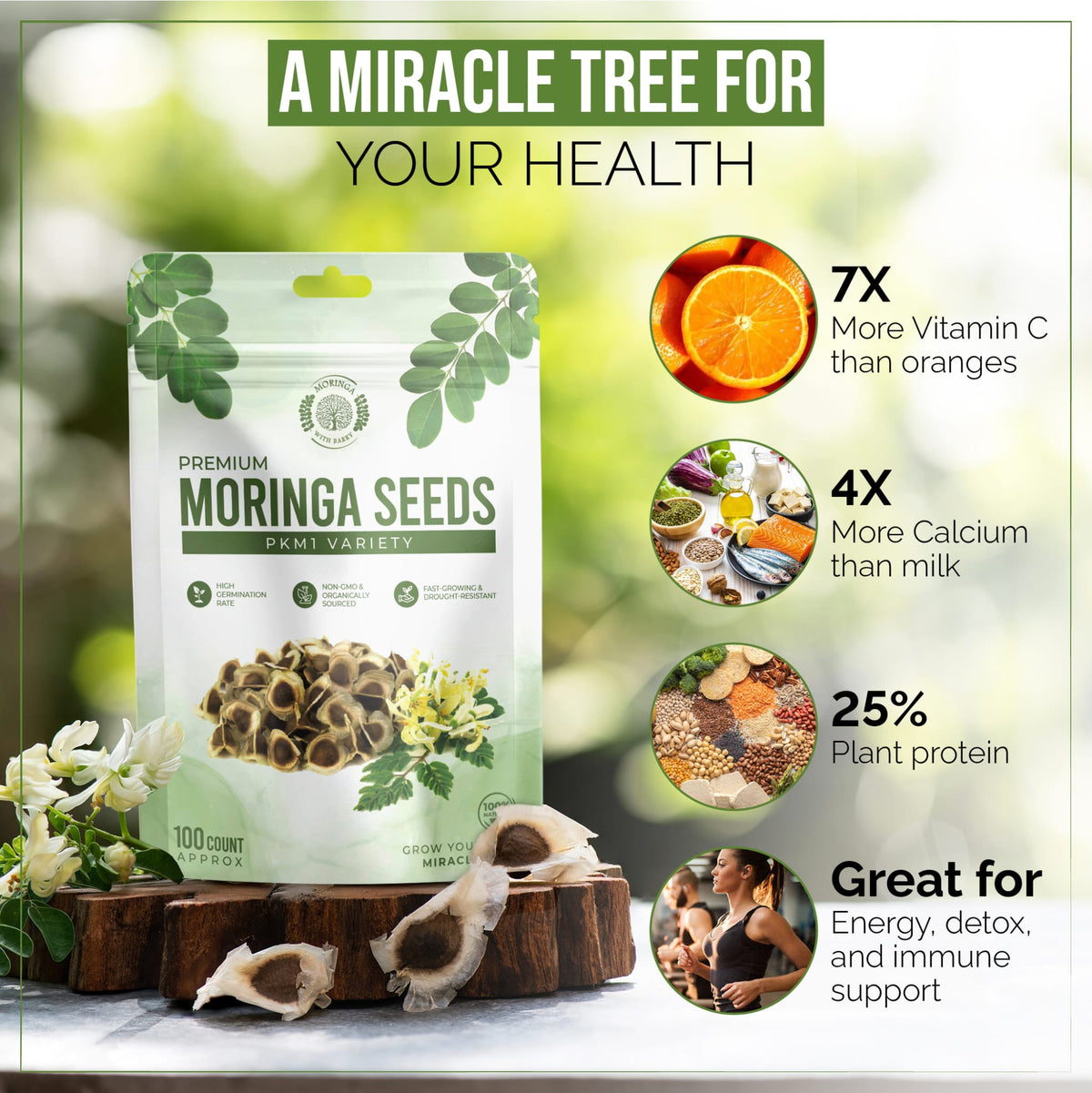 Fast-Growing Superfood Moringa for Planting