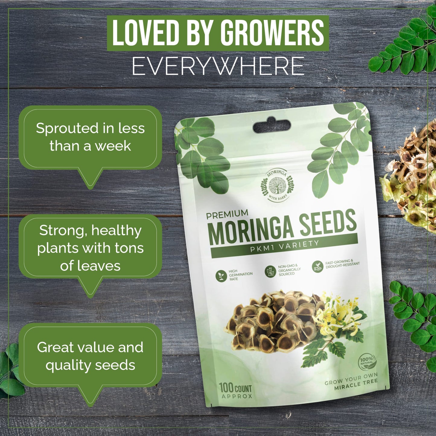 Fast-Growing Superfood Moringa for Planting