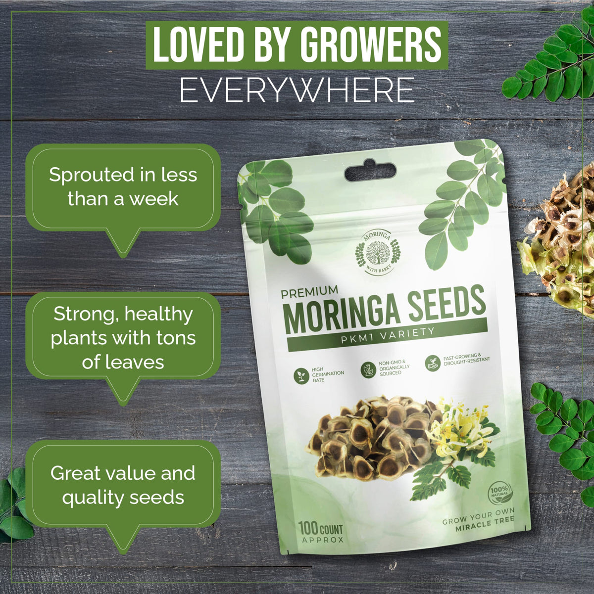 Fast-Growing Superfood Moringa for Planting