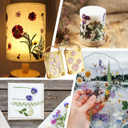 Mini Flower Press Kit for Flowers, Leaves & DIY Crafts