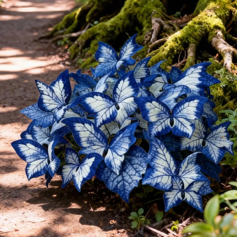 Butterfly Leaf Hosta – Shade-Loving Perennial for Garden