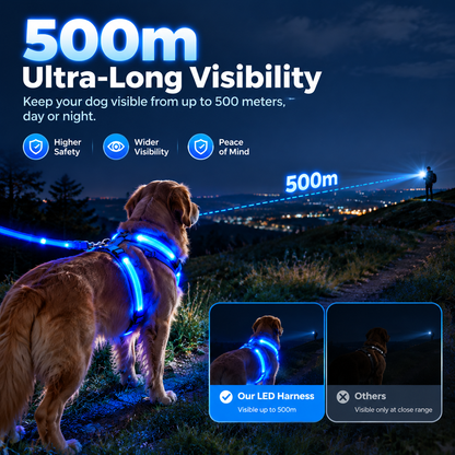 LumaWalk LED Night Full Walk Kit