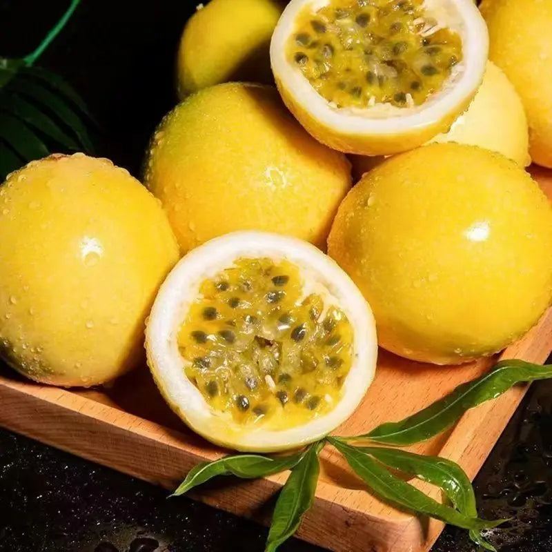 Exotic Passion Fruit Growing Kit