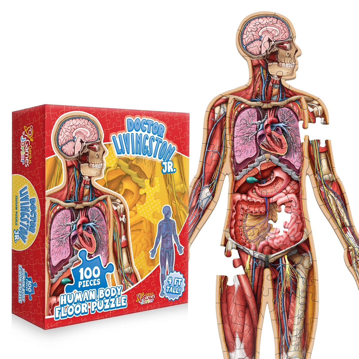Kids 100-Piece Human Body Floor Puzzle – 4ft Anatomy Learning Puzzle