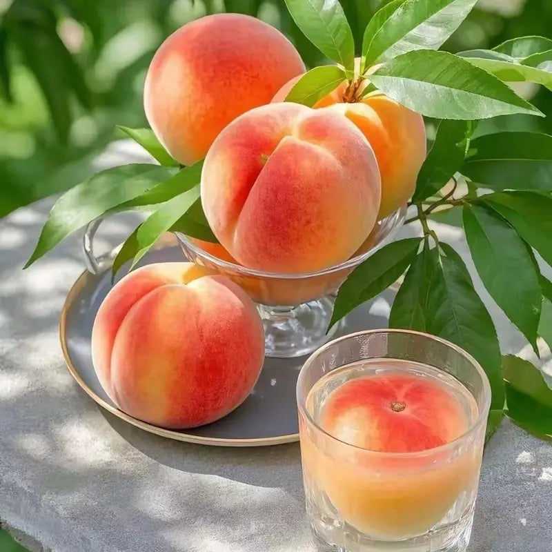 Ultra-Sweet Juicy Peach Tree Planting Kit