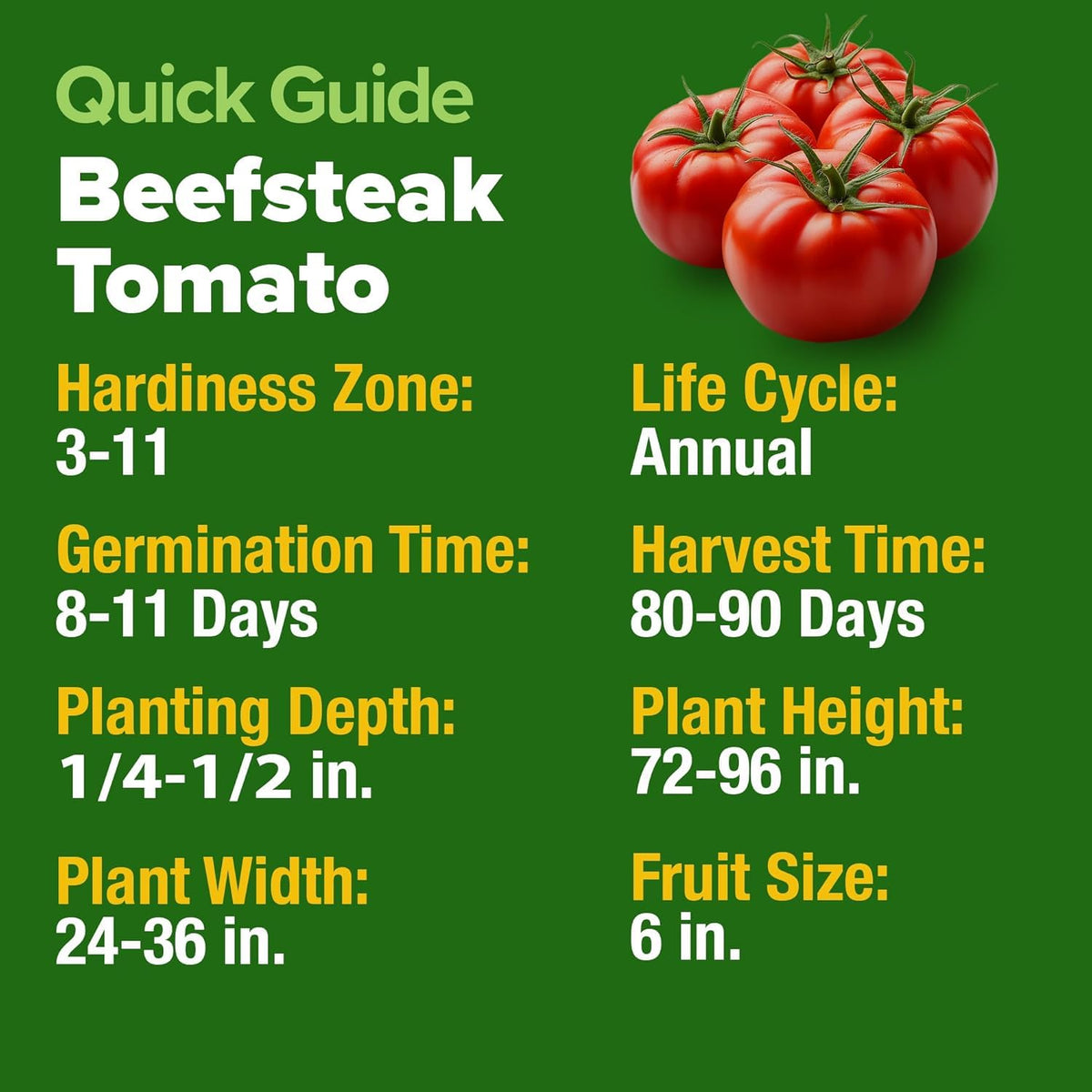 Beefsteak Tomato Grow Pack – 300 Heirloom Tomatoes for Your Garden