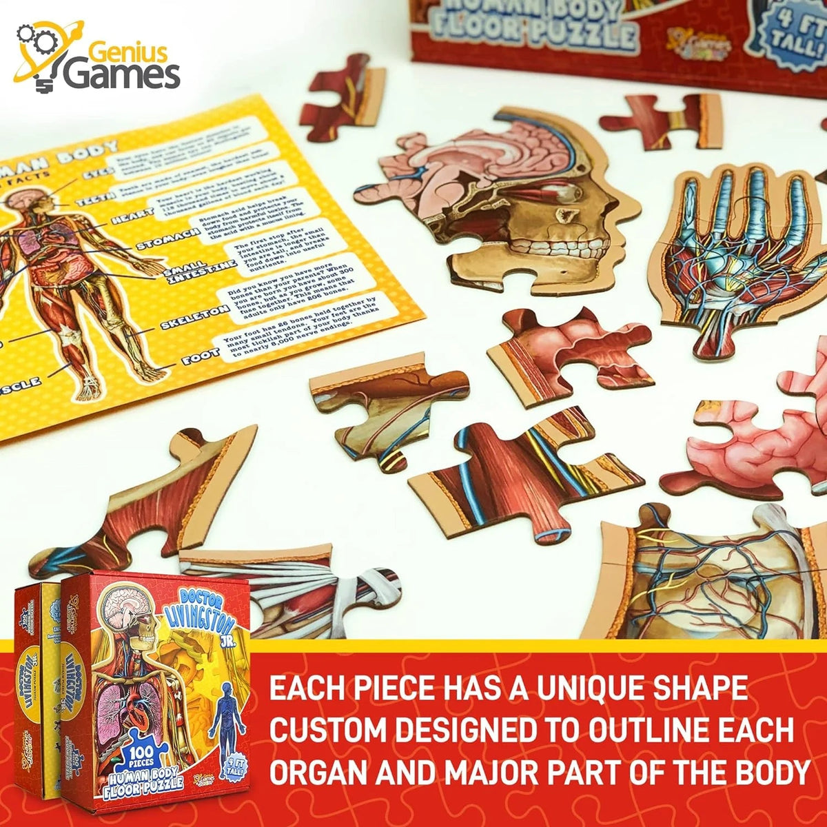 Kids 100-Piece Human Body Floor Puzzle – 4ft Anatomy Learning Puzzle