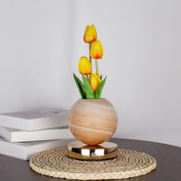 Orange Tulip