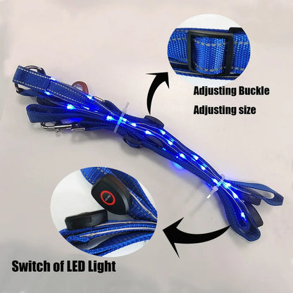 Adjustable LED Horse Breastplate – Rechargeable Night Visibility Harness