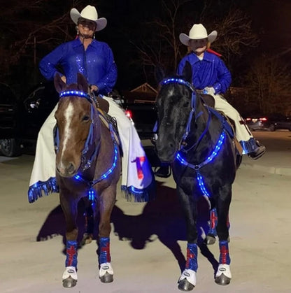 Adjustable LED Horse Breastplate – Rechargeable Night Visibility Harness