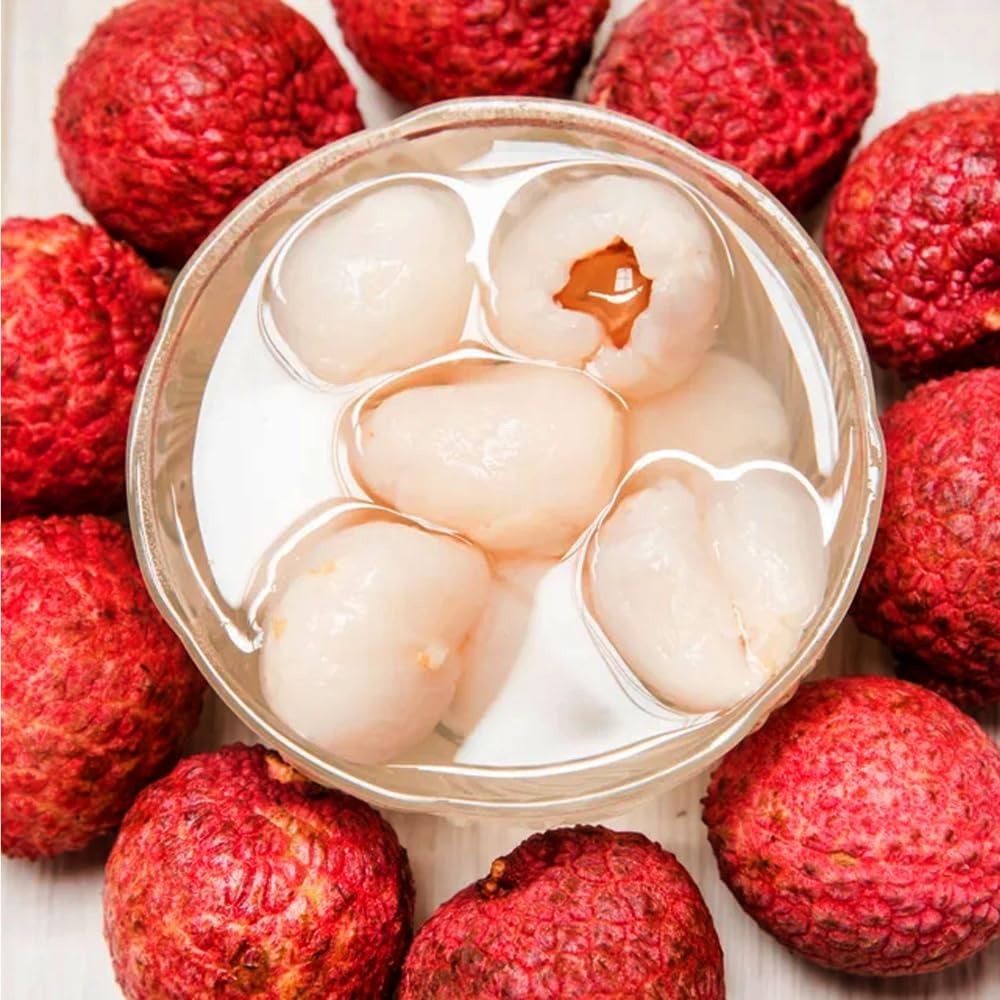 Heirloom Lychee Starter Kit – Non-GMO Easy Grow Exotic Fruit