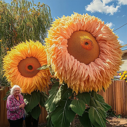 Sunflower Collection – Giant Teddy Bear & Classic Varieties for Your Garden