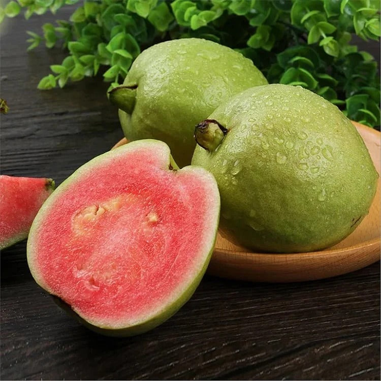 Tropical Guava Growing Kit for Pots & Gardens