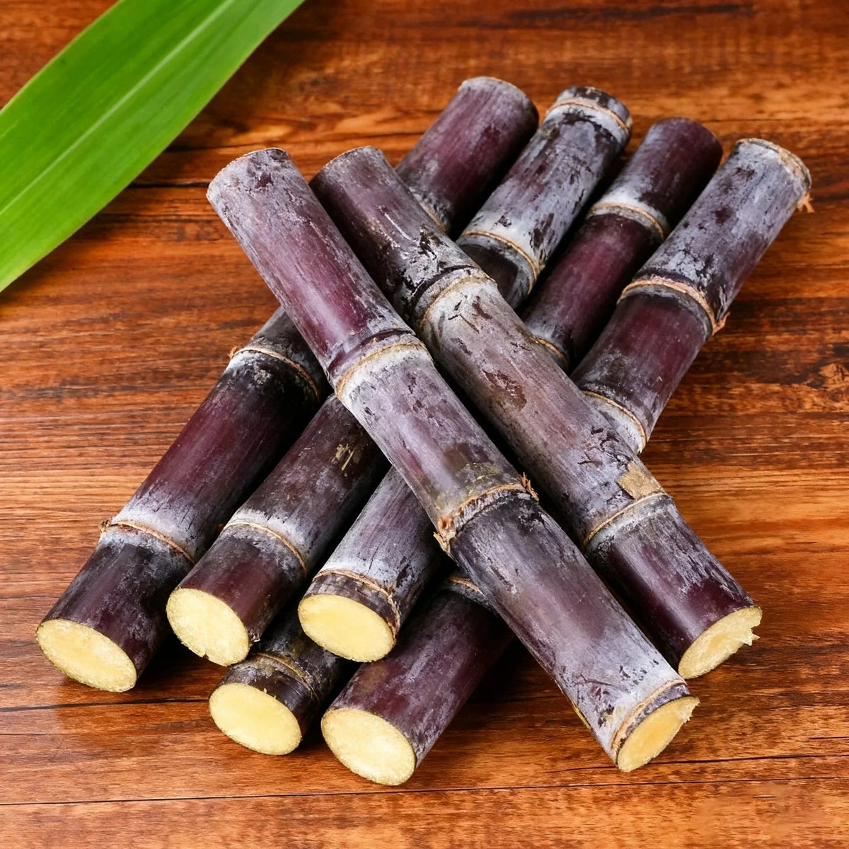 Sugarcane Collection – Purple Cane & Yellow Cane Varieties for Home Growing