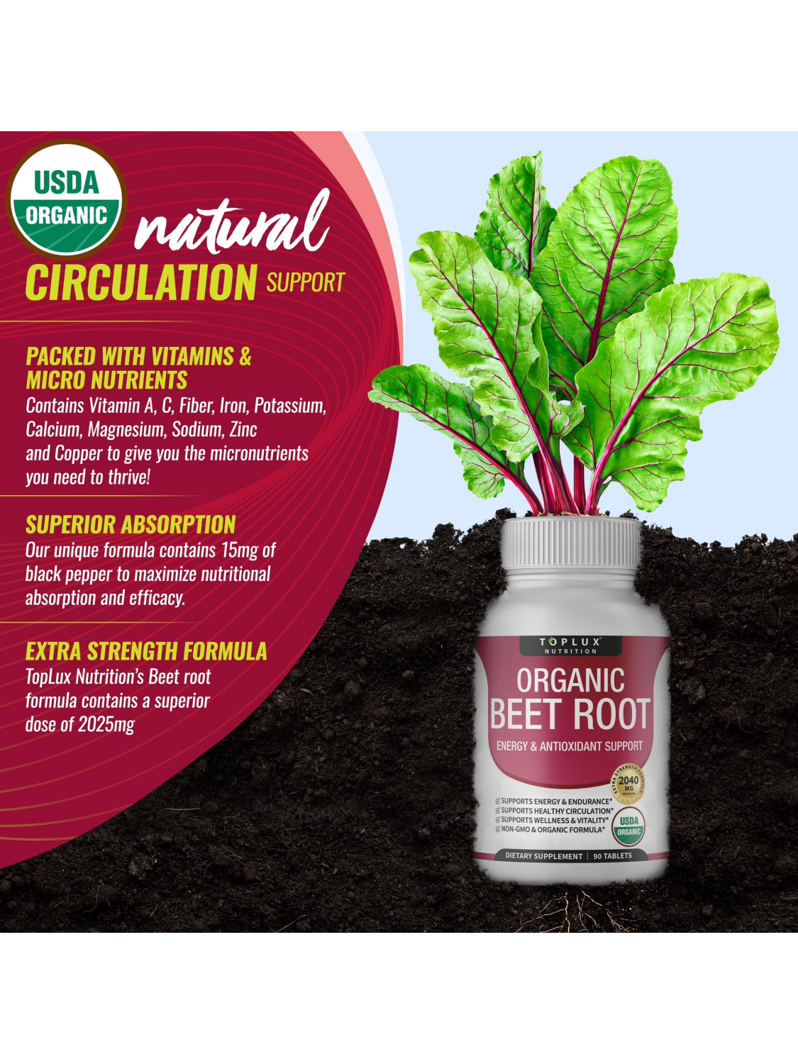 Nitric Oxide Beet Root Capsules – Daily Energy & Circulation Support