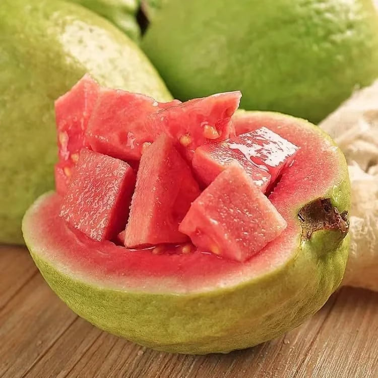 Tropical Guava Growing Kit for Pots & Gardens