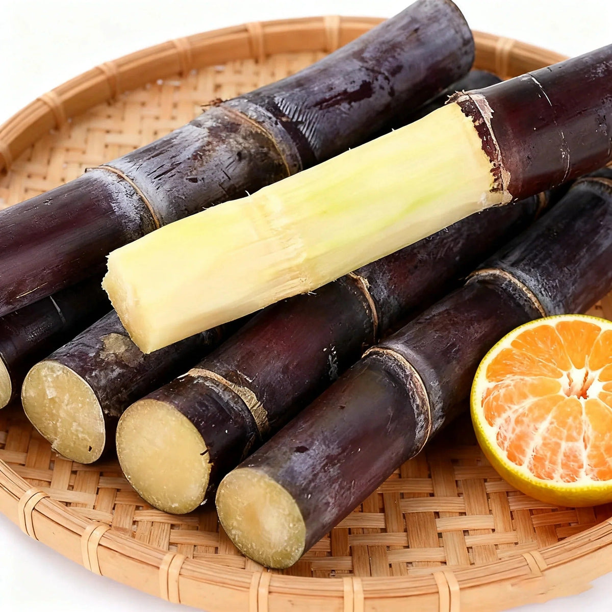Sugarcane Collection – Purple Cane & Yellow Cane Varieties for Home Growing