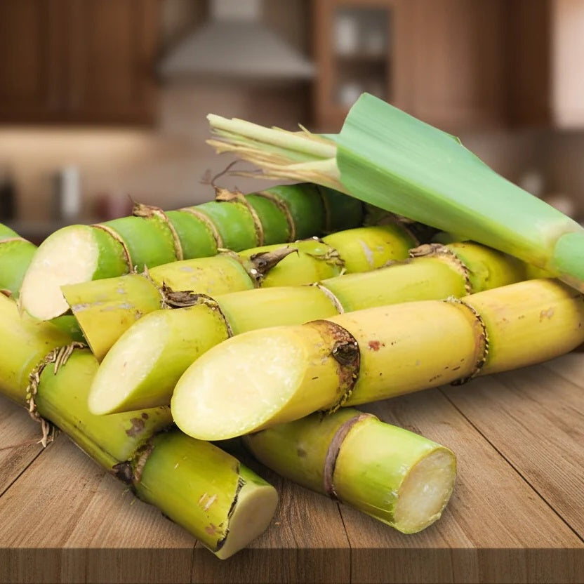 Sugarcane Collection – Purple Cane & Yellow Cane Varieties for Home Growing