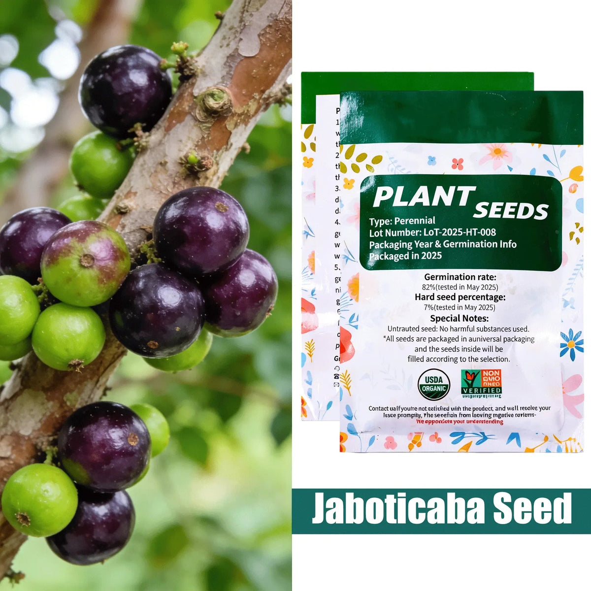 Jaboticaba Exotic Fruit Plant Starter for Home Garden