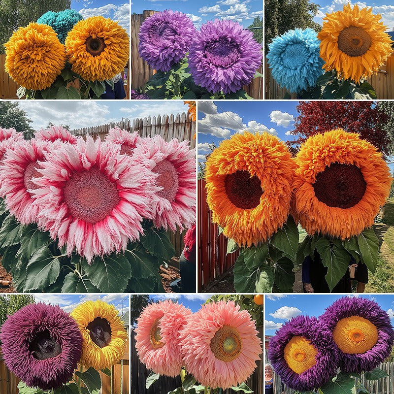 Sunflower Collection – Giant Teddy Bear & Classic Varieties for Your Garden