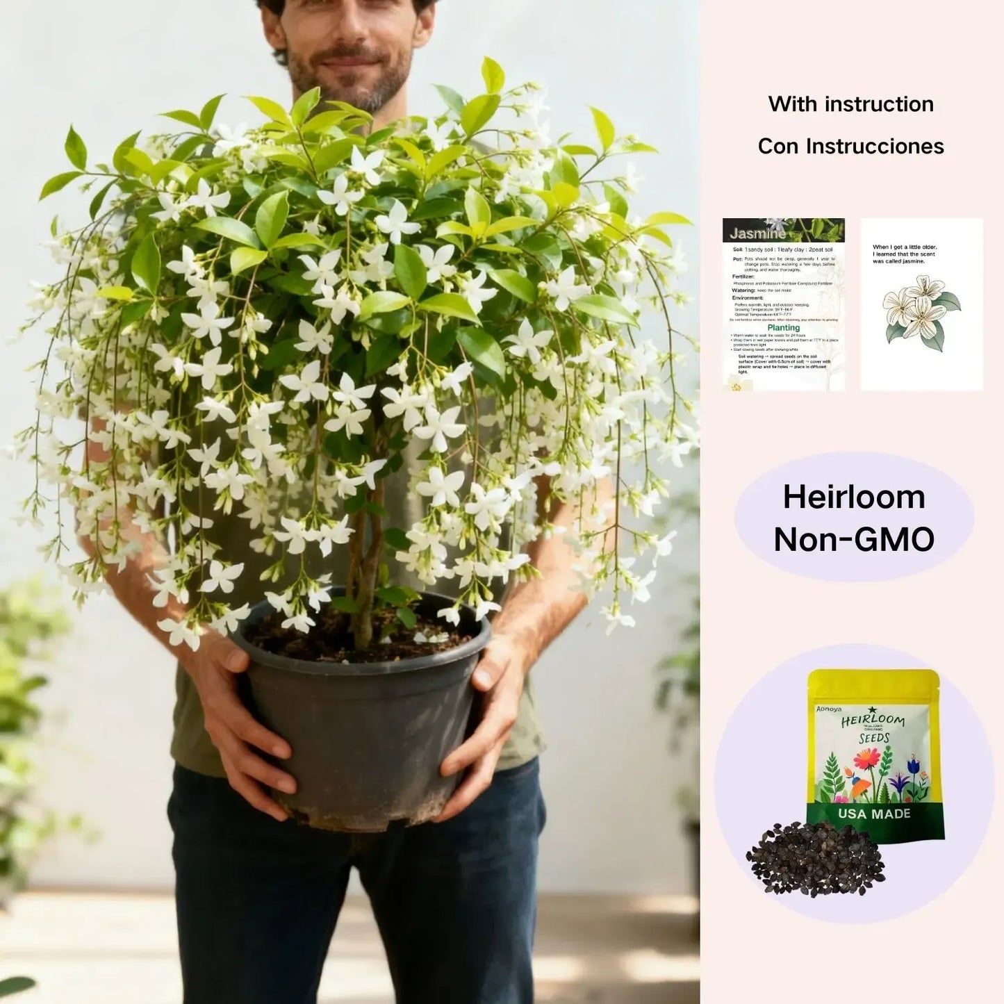 Trailing Jasmine Fragrant Climbing Flower – Evergreen Garden & Balcony Plant