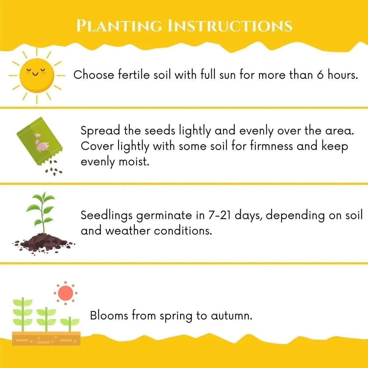 Plum Growing Kit – Sweet Fruit Tree for Home Garden