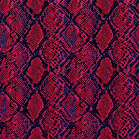 Ruby Rouge